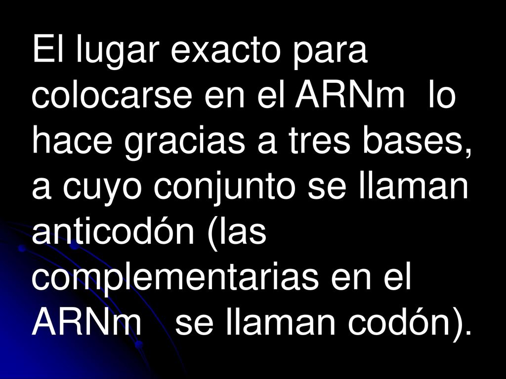 El lugar exacto para colocarse en el ARNm lo hace gracias a tres bases, a cuyo conjunto se llaman anticodón (las complementarias en el ARNm se llaman codón).