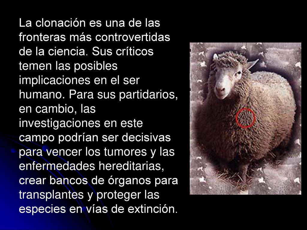 La clonación es una de las fronteras más controvertidas de la ciencia
