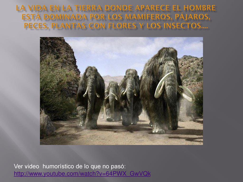 La vida en la tierra donde aparece el hombre está dominada por los mamíferos, pájaros, peces, plantas con flores y los insectos....