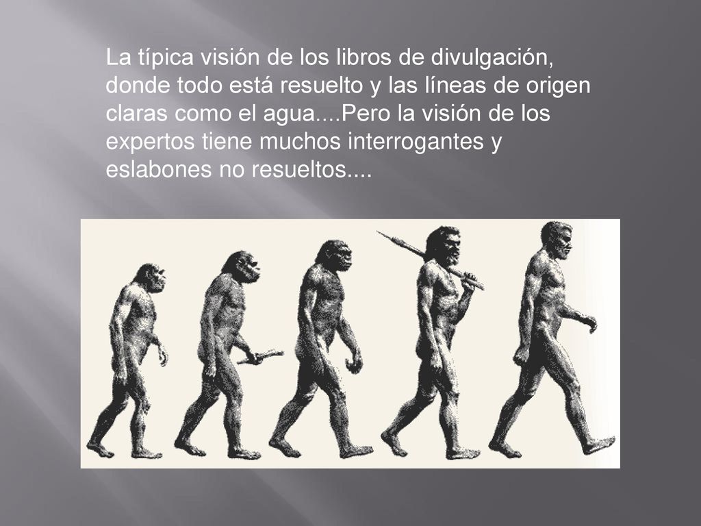 La típica visión de los libros de divulgación, donde todo está resuelto y las líneas de origen claras como el agua....Pero la visión de los expertos tiene muchos interrogantes y eslabones no resueltos....