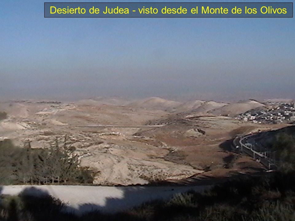 Desierto de Judea - visto desde el Monte de los Olivos