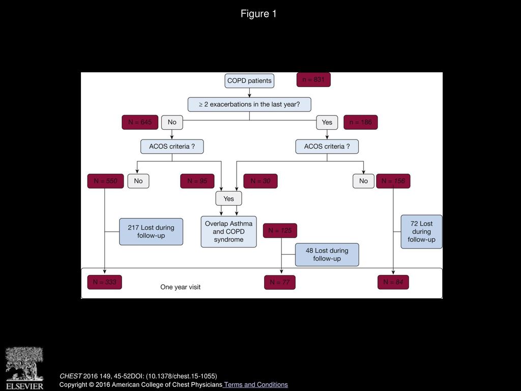 Figure 1 Flowchart of patients according to guideline preestablished criteria. ACOS = asthma-COPD overlap syndrome.