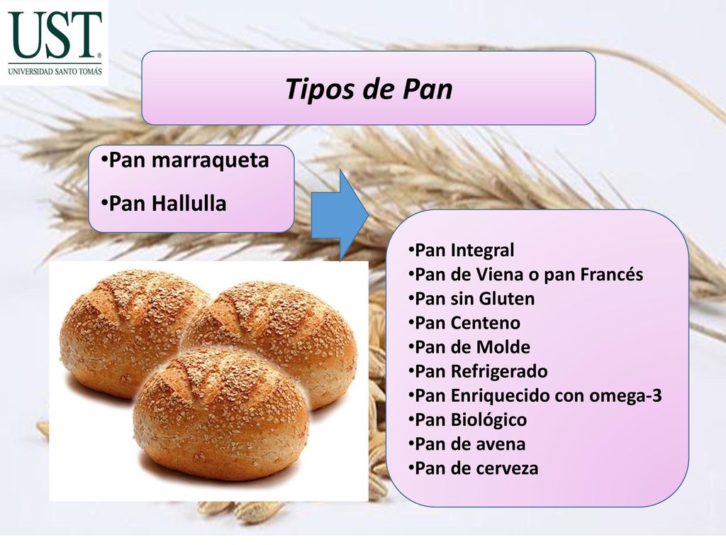 Tipos de Pan Pan marraqueta Pan Hallulla Pan Integral