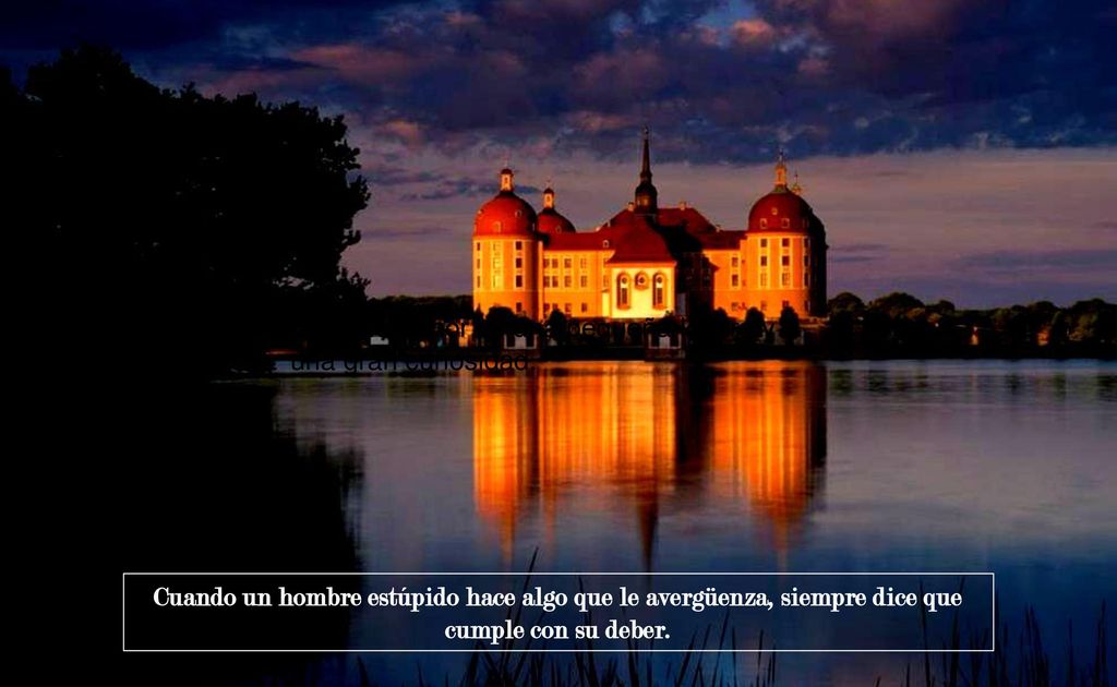El primer amor es una pequeña locura y una gran curiosidad.