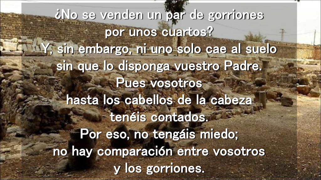 ¿No se venden un par de gorriones por unos cuartos
