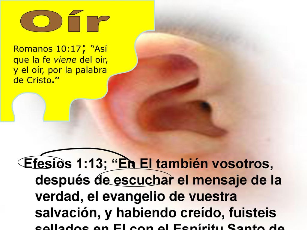 Oír Oír. Romanos 10:17; Así que la fe viene del oír, y el oír, por la palabra de Cristo.
