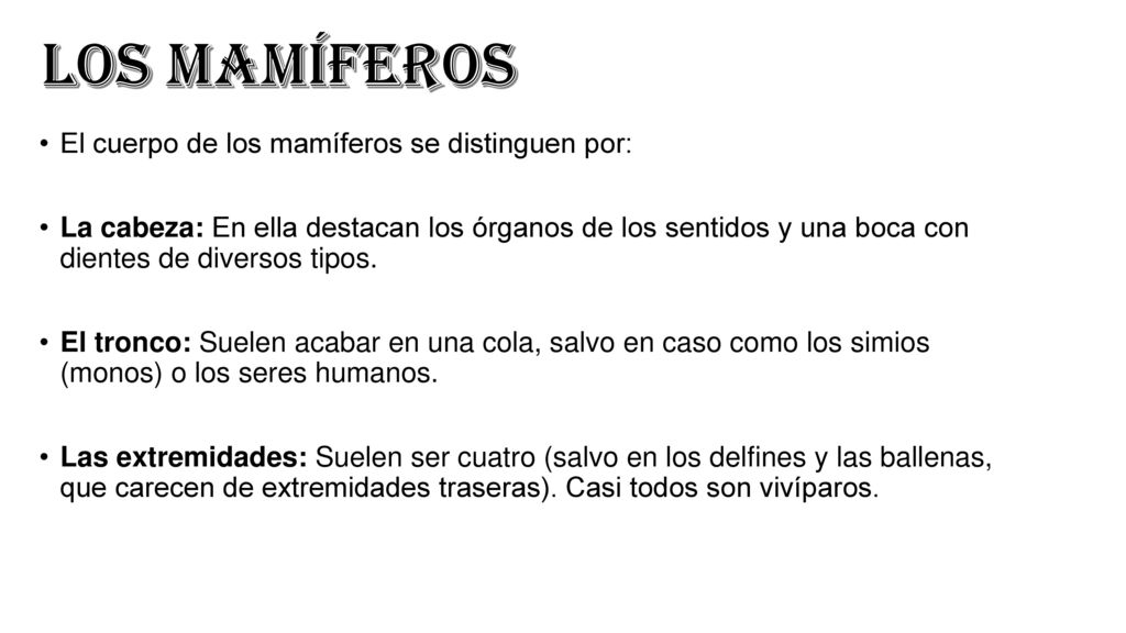 LOS MAMÍFEROS El cuerpo de los mamíferos se distinguen por: