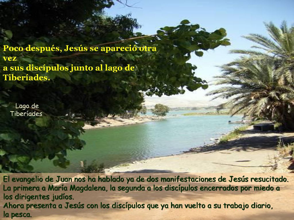 Poco después, Jesús se apareció otra vez a sus discípulos junto al lago de Tiberíades.