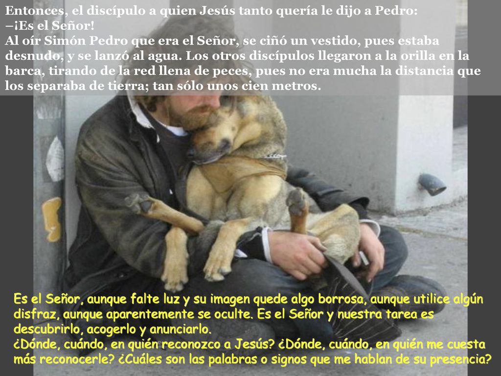 Entonces, el discípulo a quien Jesús tanto quería le dijo a Pedro: –¡Es el Señor! Al oír Simón Pedro que era el Señor, se ciñó un vestido, pues estaba desnudo, y se lanzó al agua. Los otros discípulos llegaron a la orilla en la barca, tirando de la red llena de peces, pues no era mucha la distancia que los separaba de tierra; tan sólo unos cien metros.