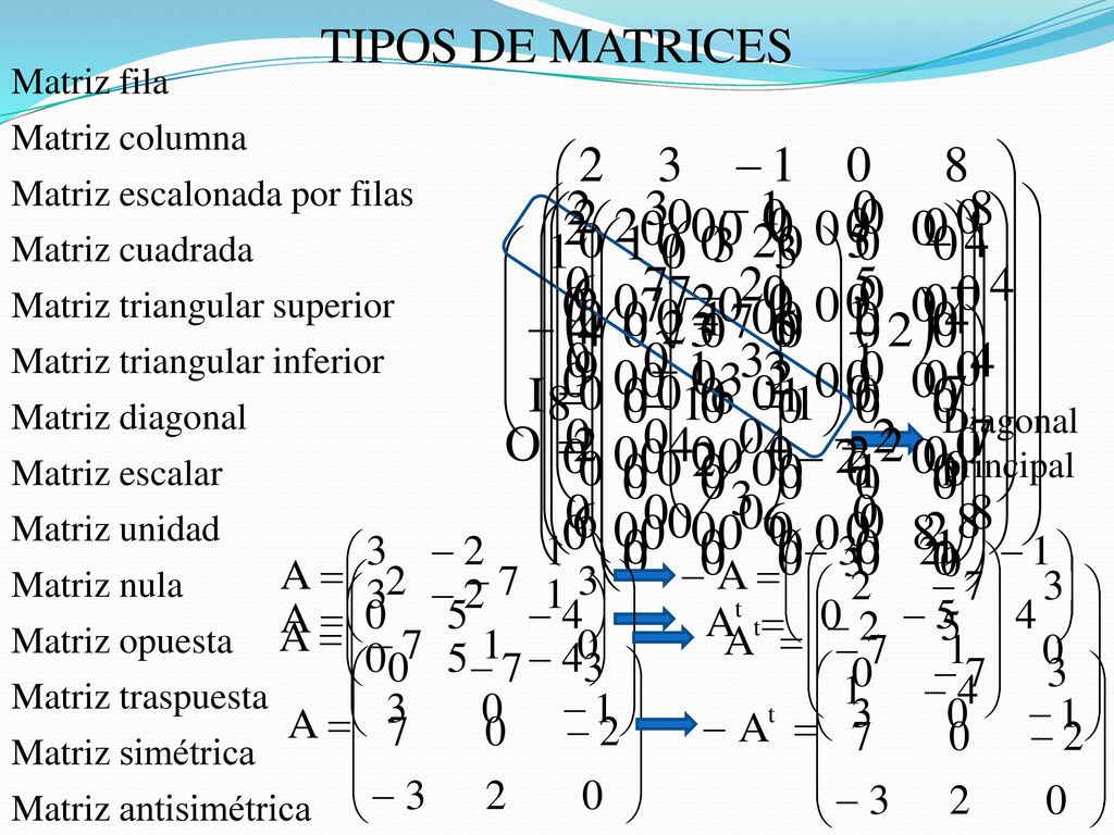 TIPOS DE MATRICES Matriz fila Matriz columna