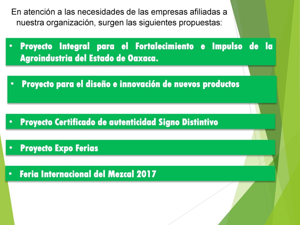 Proyecto para el diseño e innovación de nuevos productos