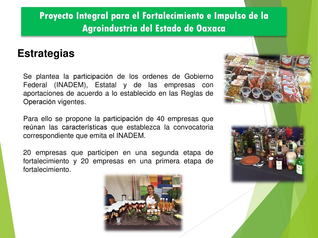 Proyecto Integral para el Fortalecimiento e Impulso de la Agroindustria del Estado de Oaxaca