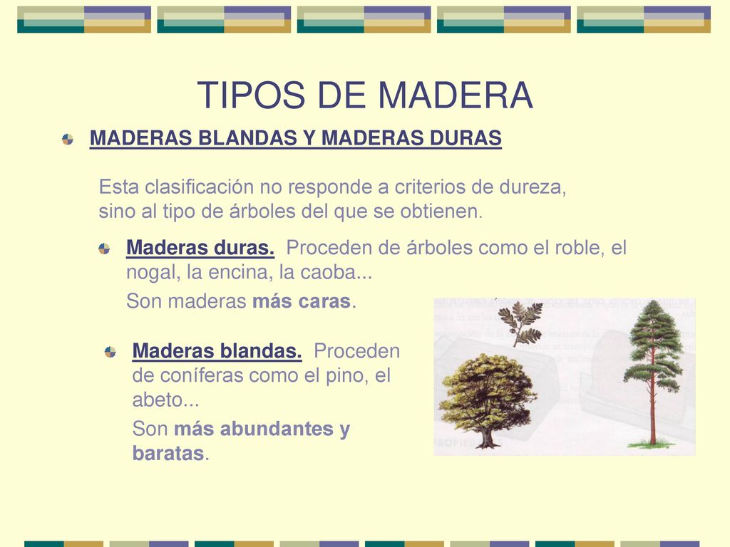 TIPOS DE MADERA MADERAS BLANDAS Y MADERAS DURAS