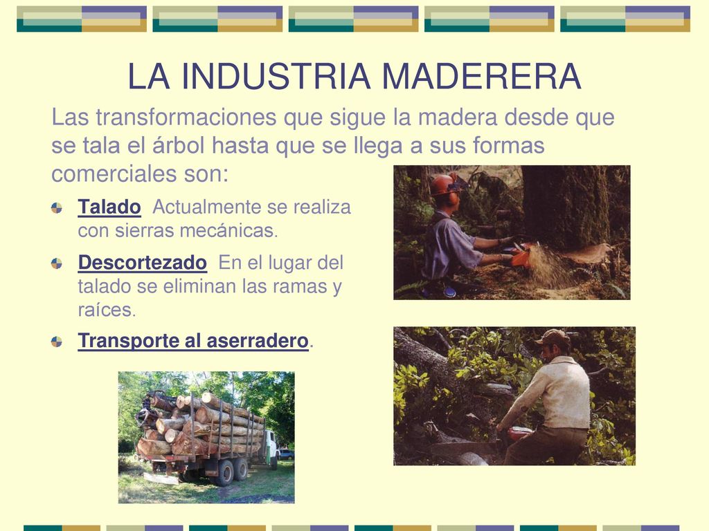LA INDUSTRIA MADERERA Las transformaciones que sigue la madera desde que se tala el árbol hasta que se llega a sus formas comerciales son: