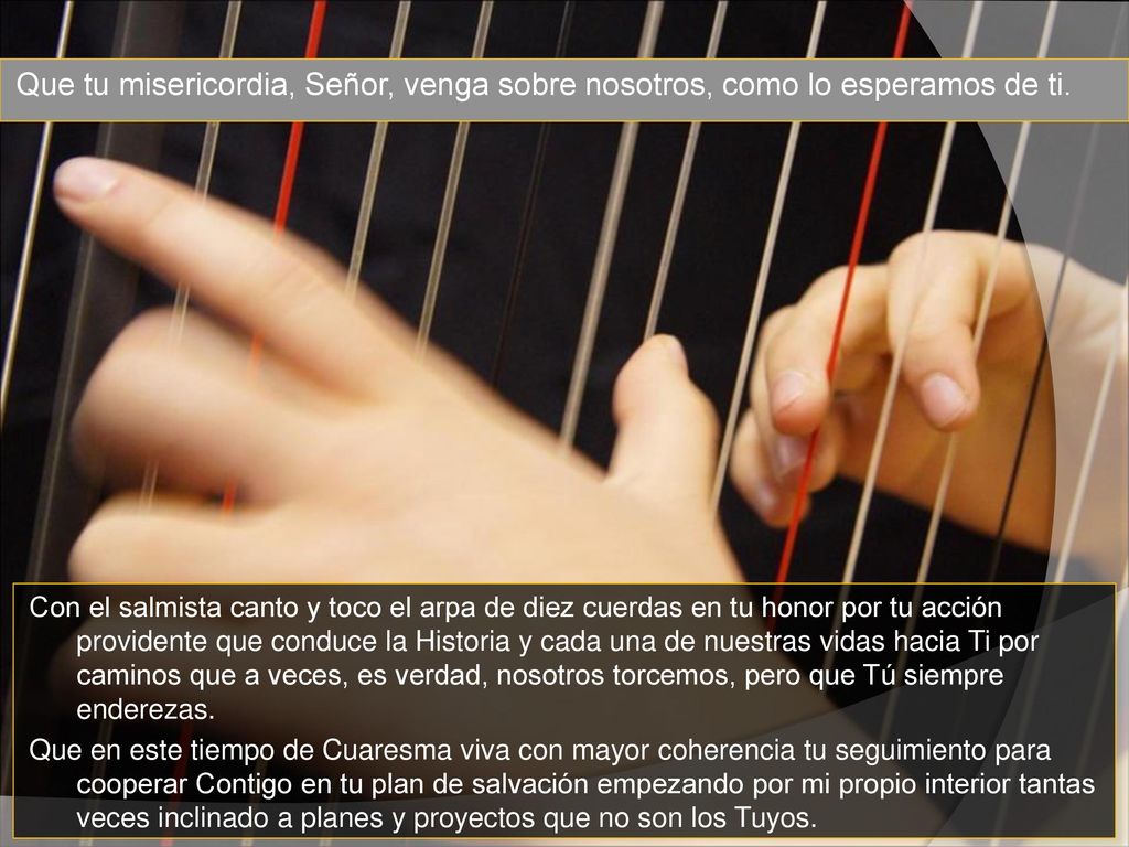 Que tu misericordia, Señor, venga sobre nosotros, como lo esperamos de ti.