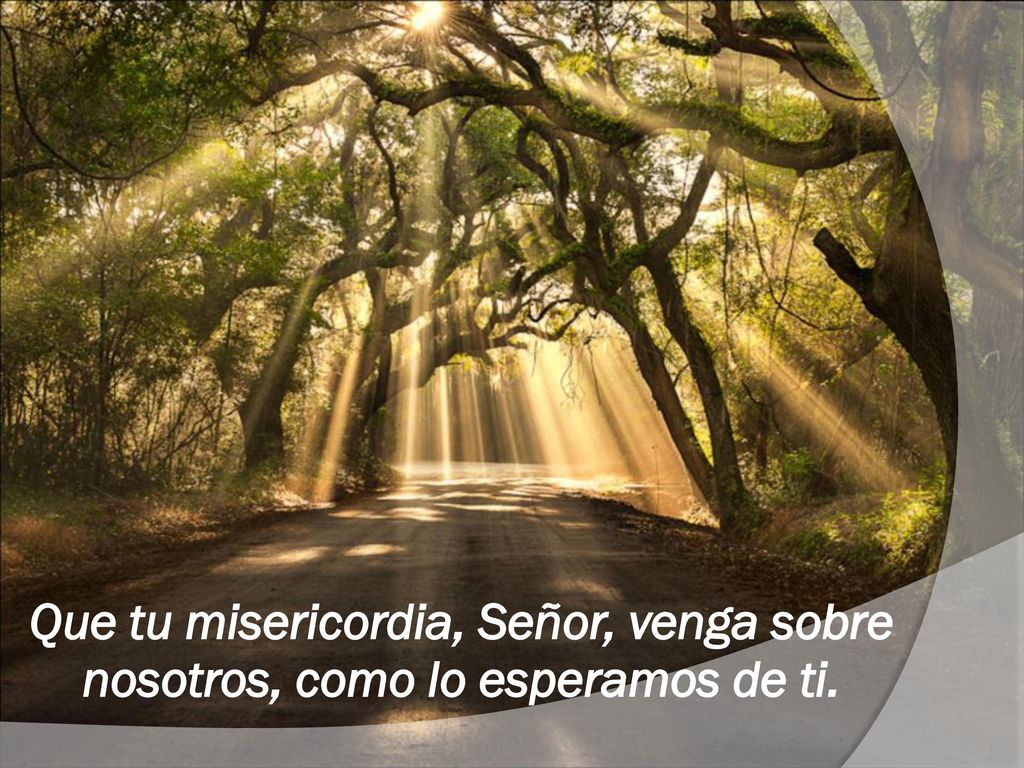 Que tu misericordia, Señor, venga sobre nosotros, como lo esperamos de ti.
