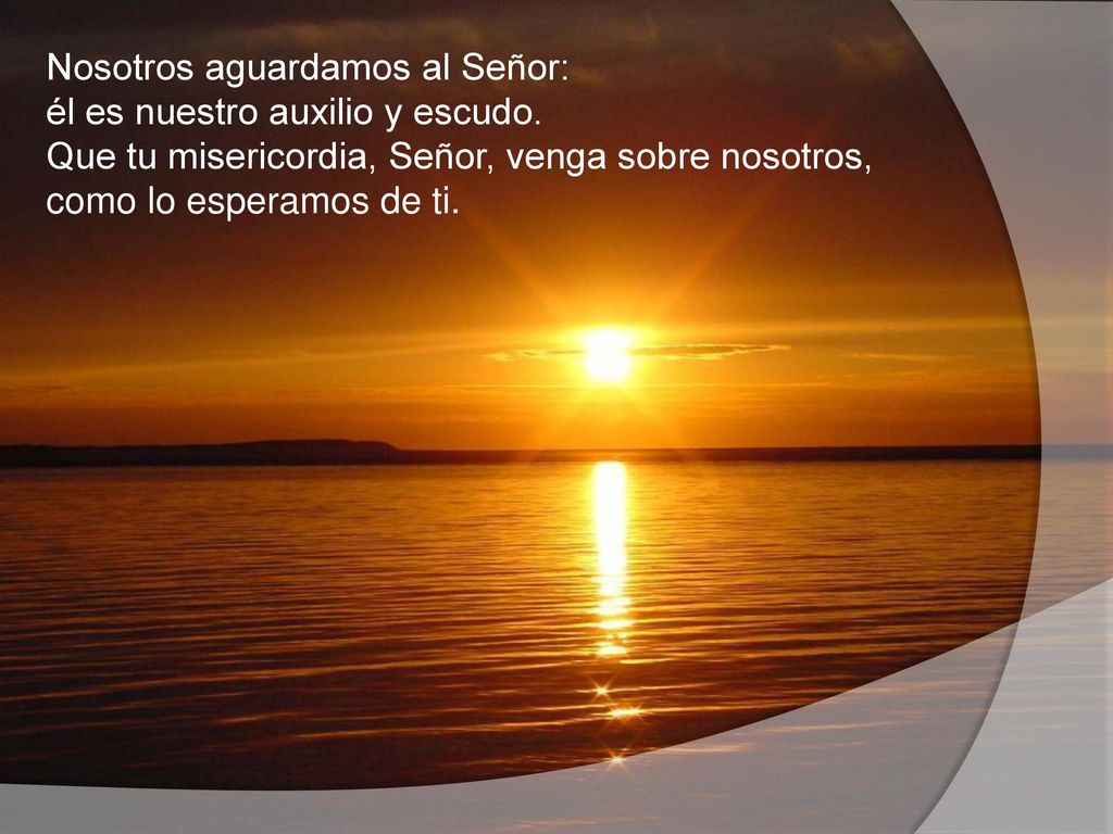 Nosotros aguardamos al Señor: él es nuestro auxilio y escudo
