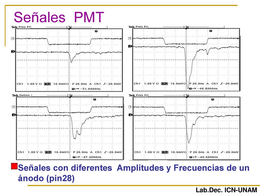 Señales PMT Señales con diferentes Amplitudes y Frecuencias de un ánodo (pin28) Lab.Dec. ICN-UNAM