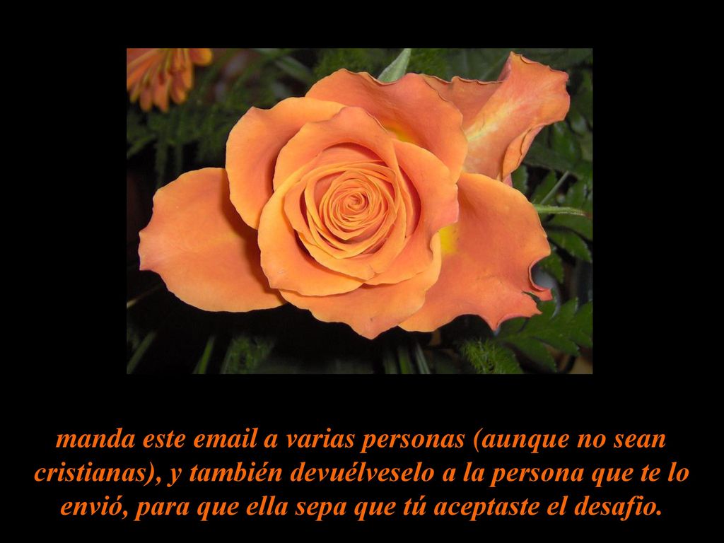 manda este  a varias personas (aunque no sean cristianas), y también devuélveselo a la persona que te lo envió, para que ella sepa que tú aceptaste el desafio.