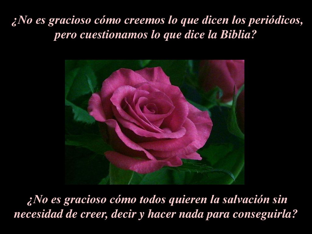¿No es gracioso cómo creemos lo que dicen los periódicos, pero cuestionamos lo que dice la Biblia