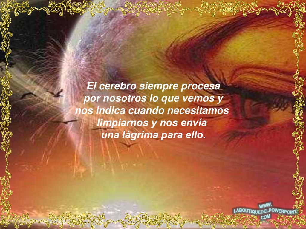 El cerebro siempre procesa por nosotros lo que vemos y