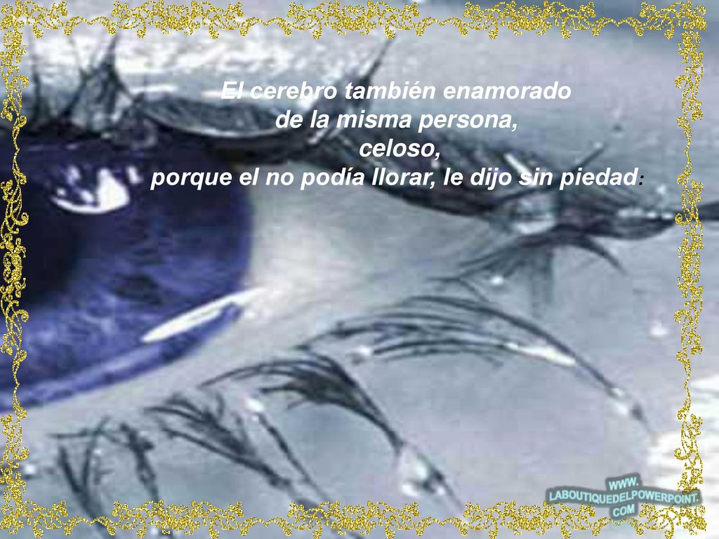 El cerebro también enamorado de la misma persona, celoso,
