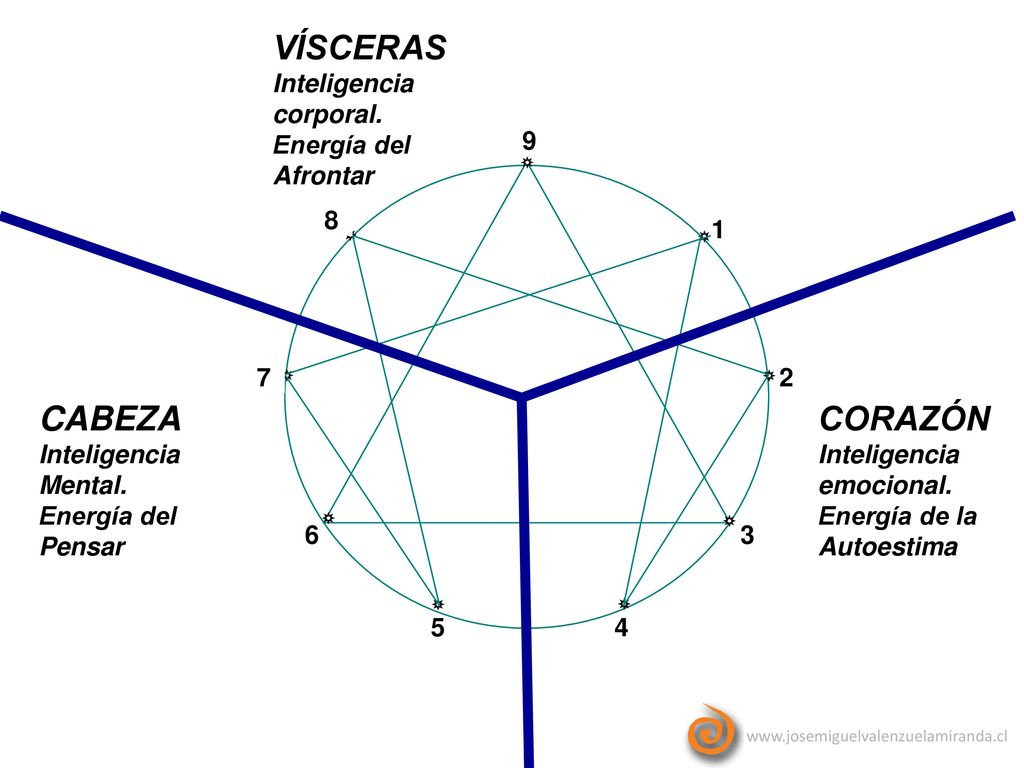 VÍSCERAS CABEZA CORAZÓN Inteligencia corporal. Energía del Afrontar 9