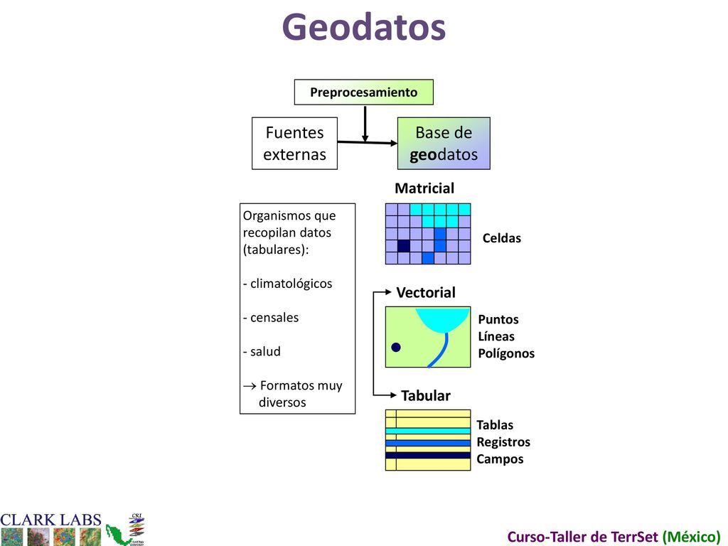Geodatos Fuentes externas Base de geodatos Matricial Vectorial Tabular