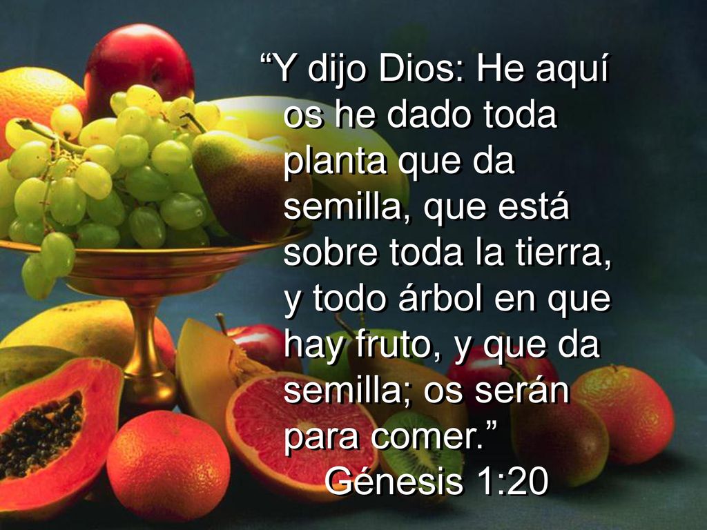 Y dijo Dios: He aquí os he dado toda planta que da semilla, que está sobre toda la tierra, y todo árbol en que hay fruto, y que da semilla; os serán para comer.