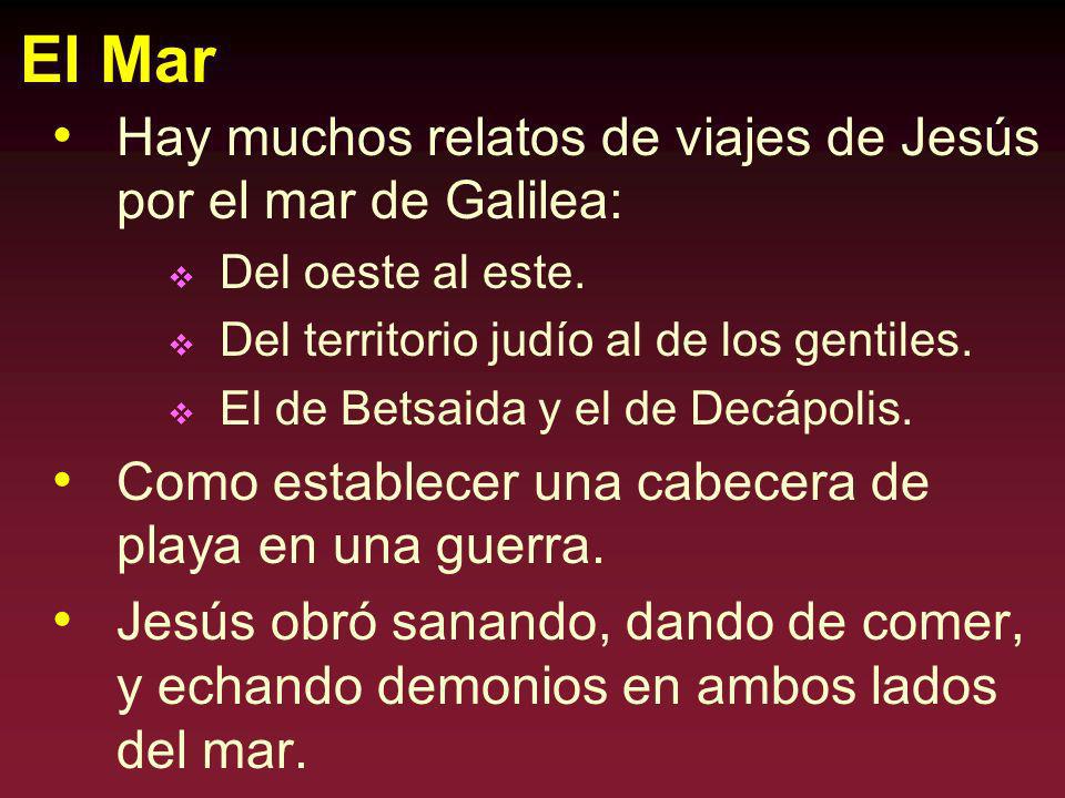 El Mar Hay muchos relatos de viajes de Jesús por el mar de Galilea: