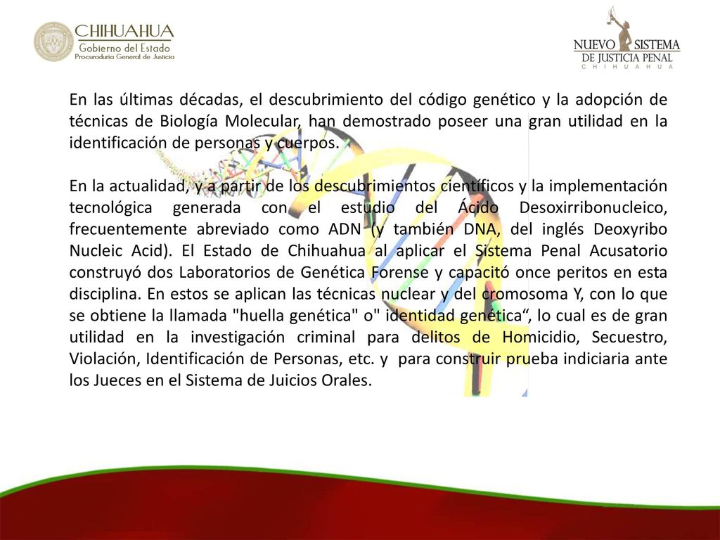 En las últimas décadas, el descubrimiento del código genético y la adopción de técnicas de Biología Molecular, han demostrado poseer una gran utilidad en la identificación de personas y cuerpos.