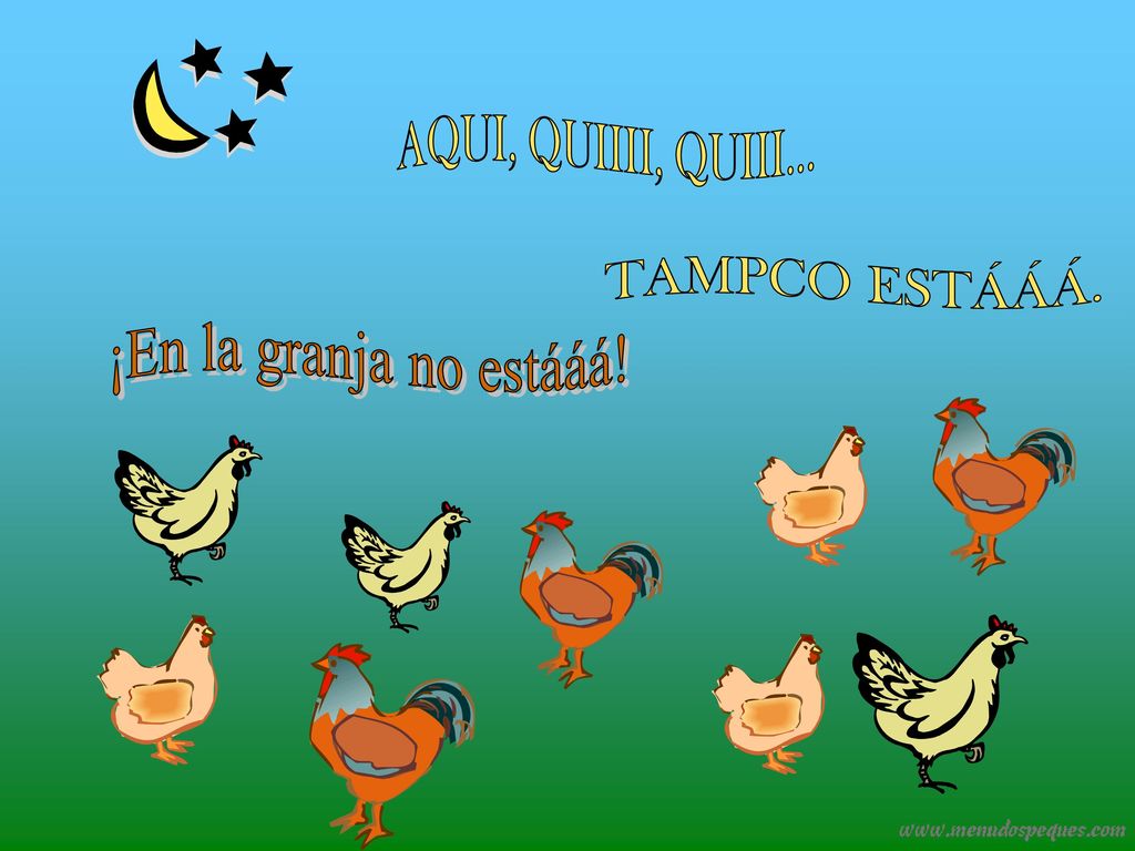 AQUI, QUIIII, QUIII... TAMPCO ESTÁÁÁ. ¡En la granja no estááá!