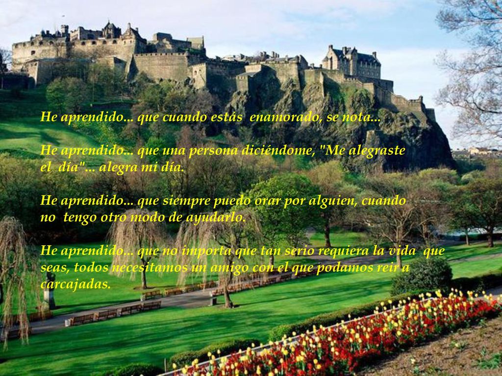 He aprendido. que cuando estás enamorado, se nota. He aprendido
