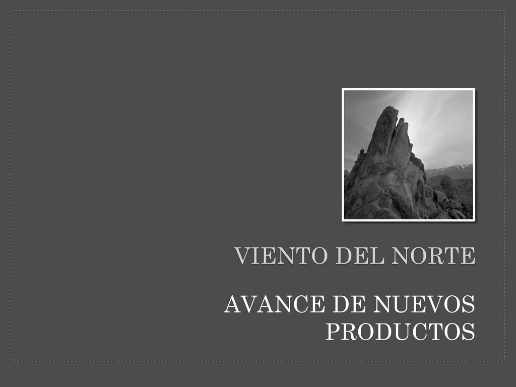VIENTO DEL NORTE AVANCE DE NUEVOS PRODUCTOS