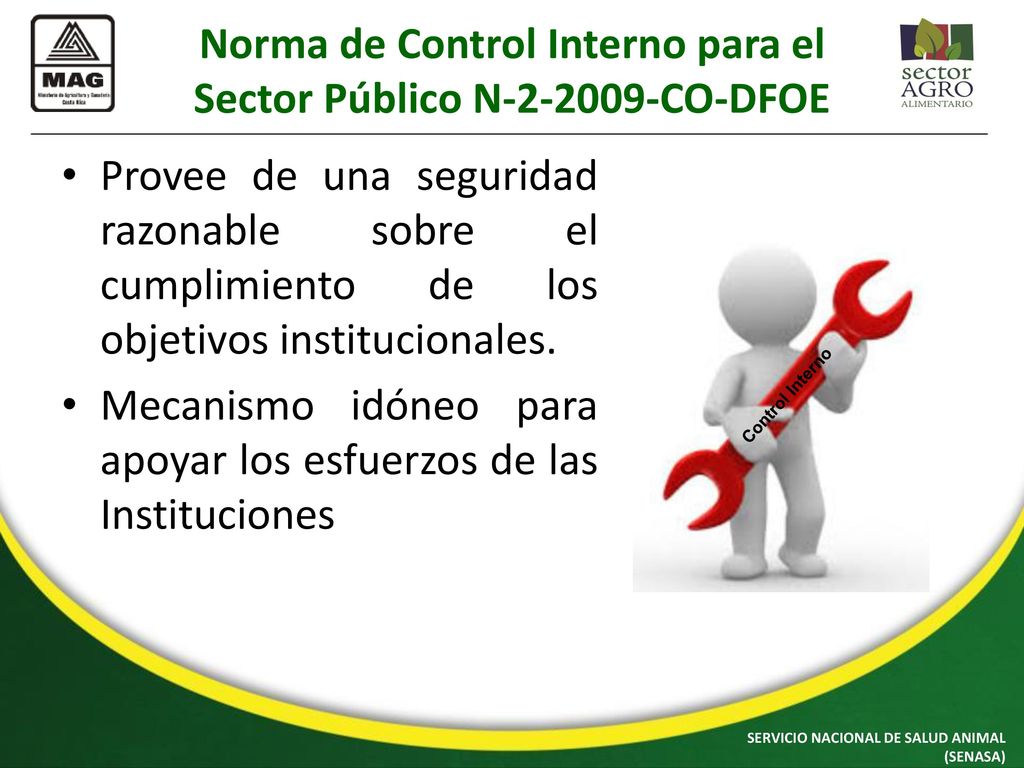 Norma de Control Interno para el Sector Público N CO-DFOE
