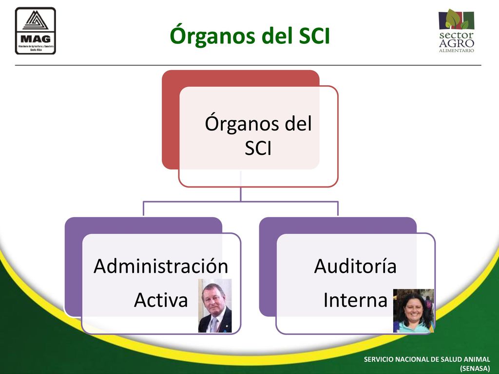 Órganos del SCI Órganos del SCI Administración Activa Auditoría