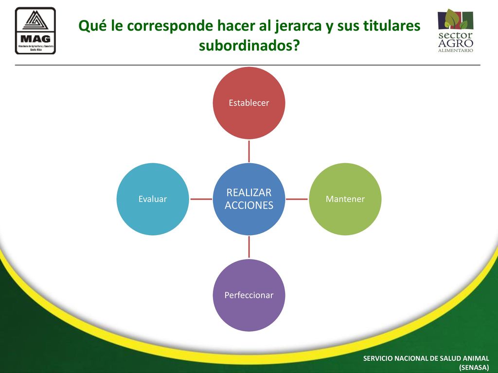 Qué le corresponde hacer al jerarca y sus titulares subordinados