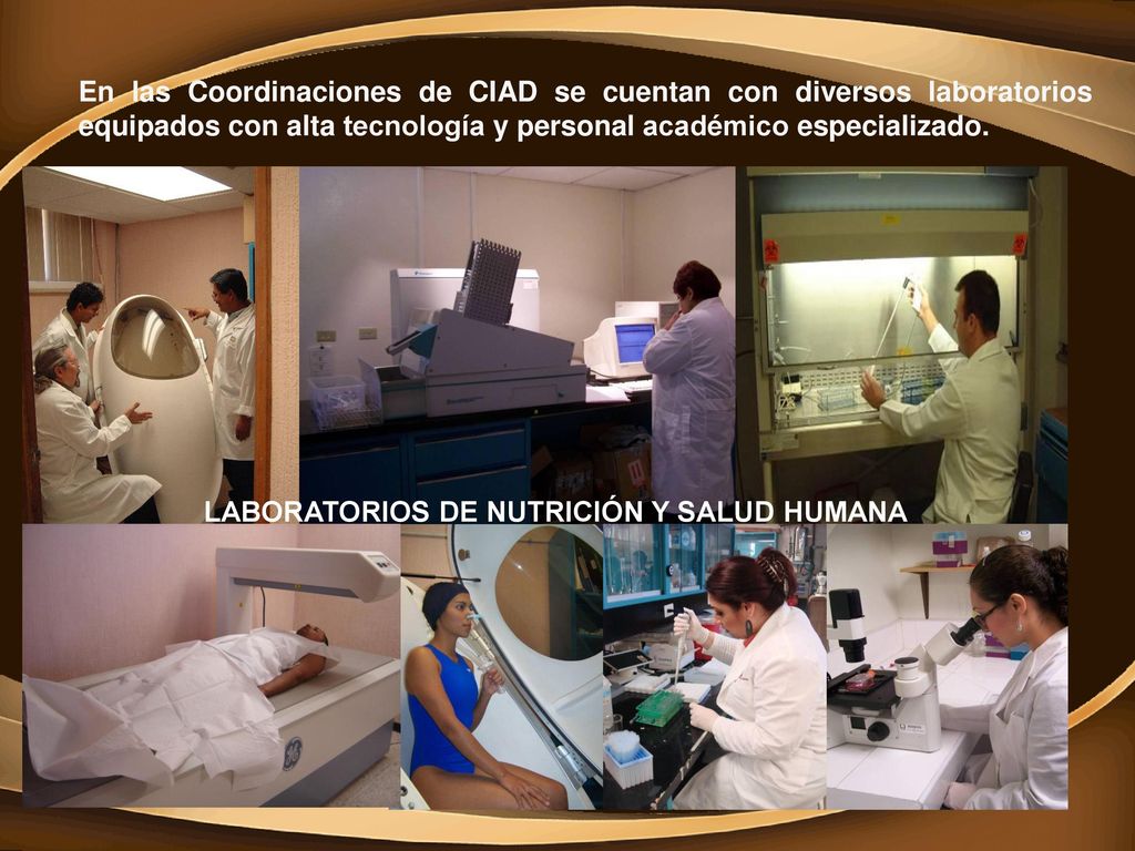 En las Coordinaciones de CIAD se cuentan con diversos laboratorios equipados con alta tecnología y personal académico especializado.