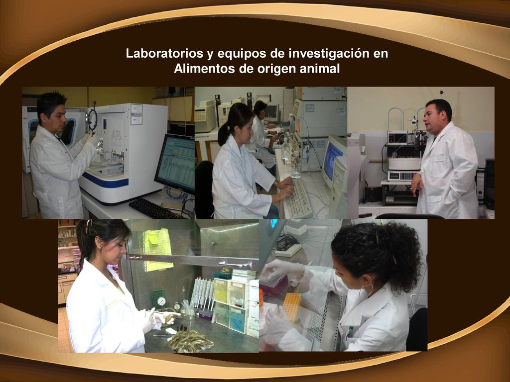 Laboratorios y equipos de investigación en Alimentos de origen animal