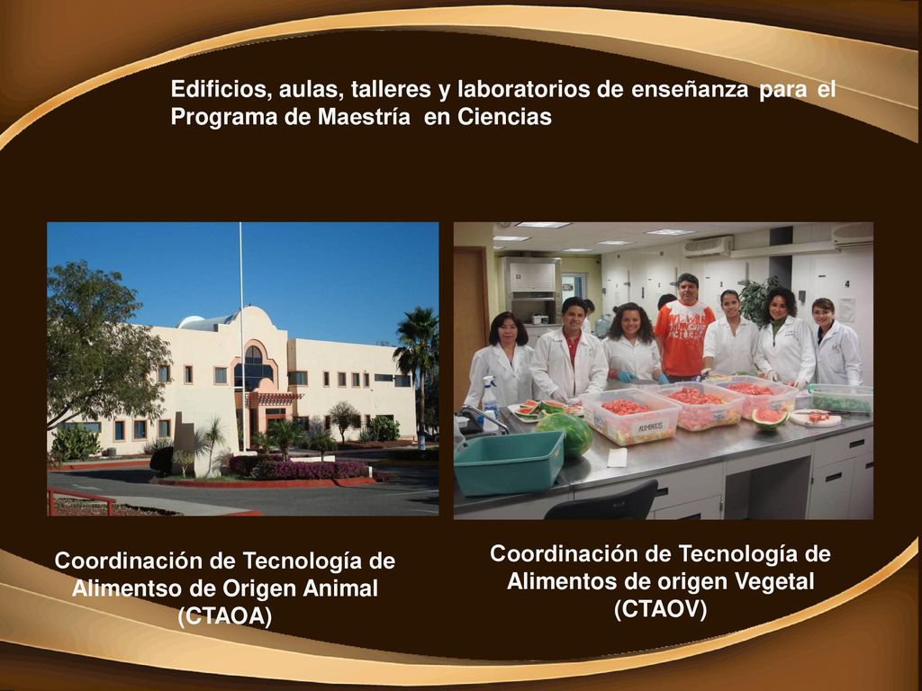 Coordinación de Tecnología de Alimentos de origen Vegetal (CTAOV)