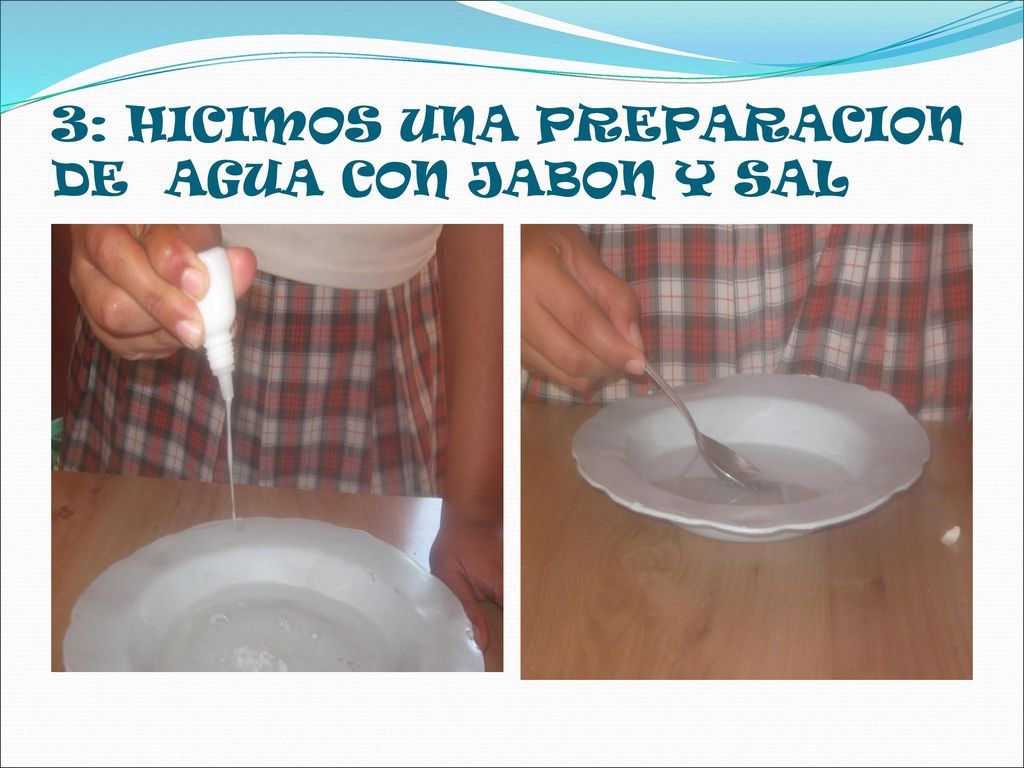 3: HICIMOS UNA PREPARACION DE AGUA CON JABON Y SAL