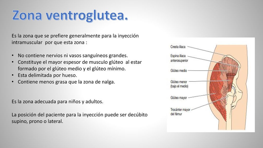 Zona ventroglutea. Es la zona que se prefiere generalmente para la inyección intramuscular por que esta zona :