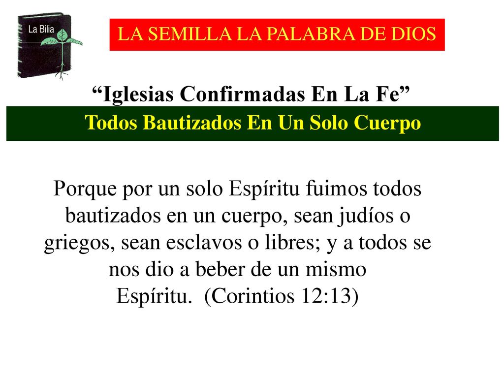 Iglesias Confirmadas En La Fe Todos Bautizados En Un Solo Cuerpo