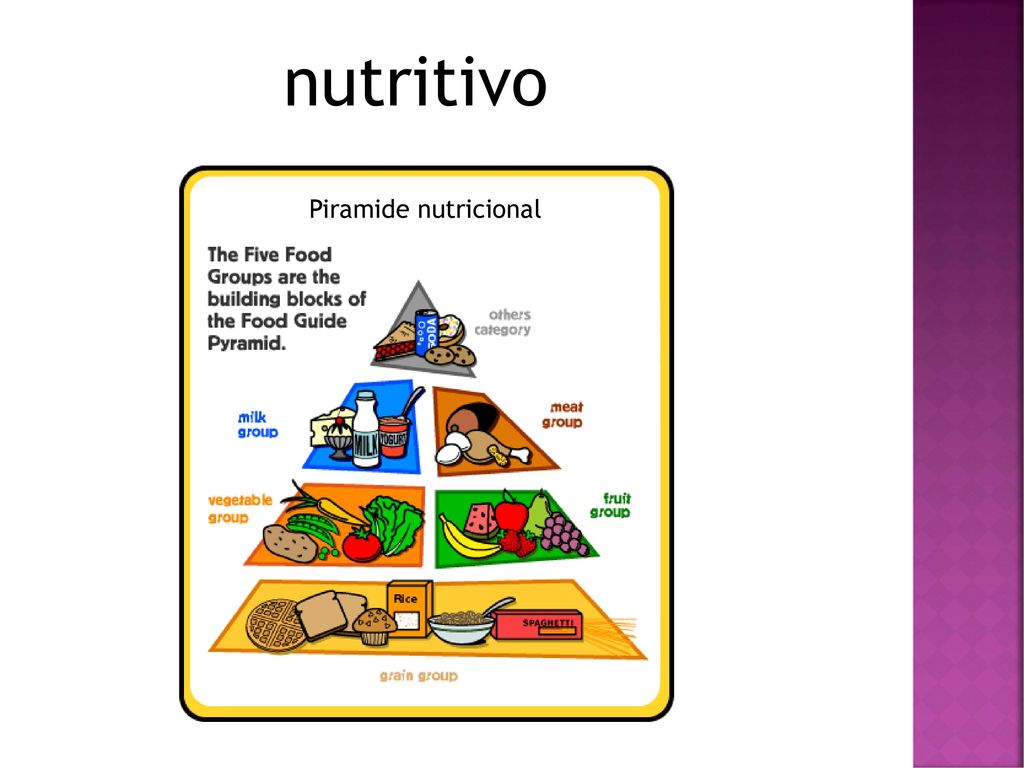 nutritivo Piramide nutricional