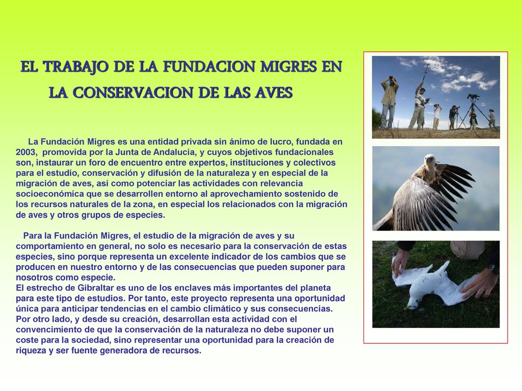 EL TRABAJO DE LA FUNDACION MIGRES EN LA CONSERVACION DE LAS AVES