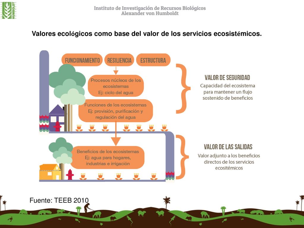 Valores ecológicos como base del valor de los servicios ecosistémicos.