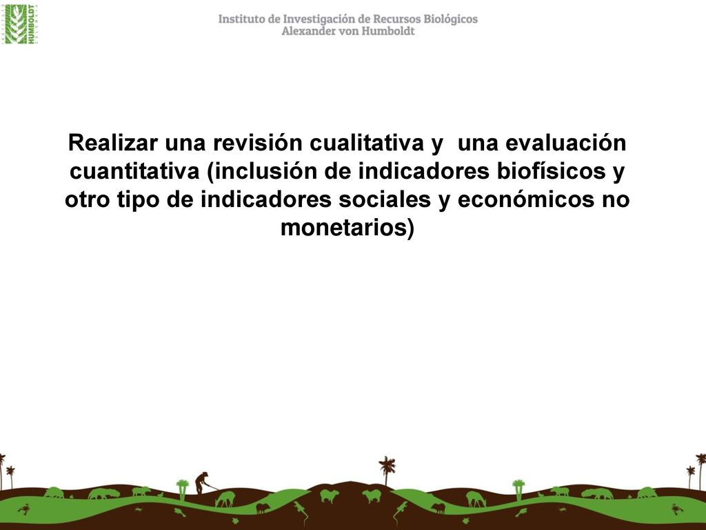 Realizar una revisión cualitativa y una evaluación cuantitativa (inclusión de indicadores biofísicos y otro tipo de indicadores sociales y económicos no monetarios)