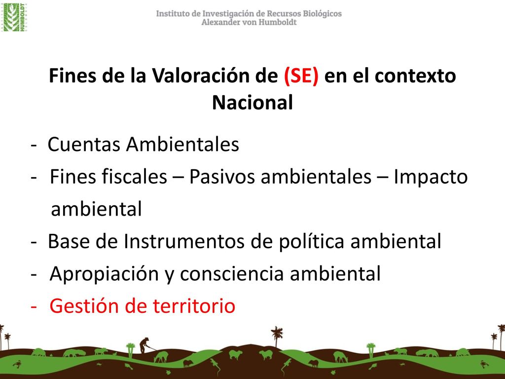 Fines de la Valoración de (SE) en el contexto Nacional