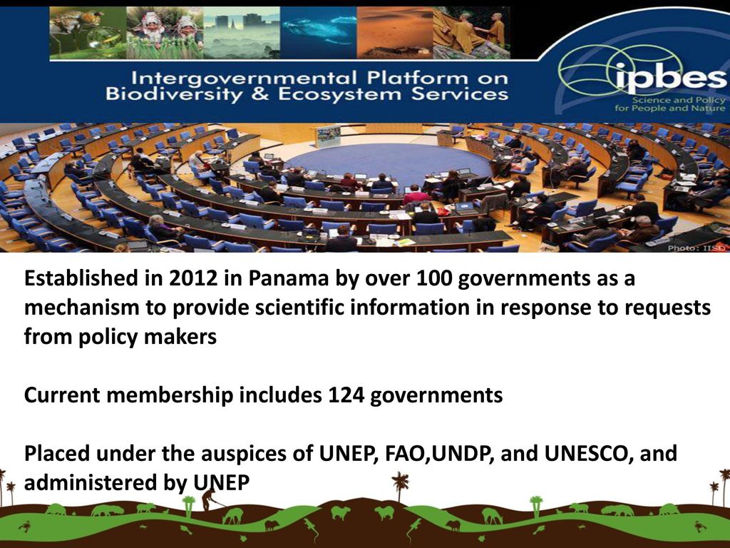 Established in 2012 in Panama by over 100 governments as a mechanism to provide scientific information in response to requests from policy makers
