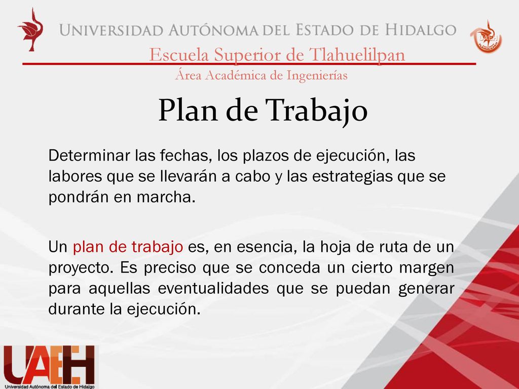 Plan de Trabajo Determinar las fechas, los plazos de ejecución, las labores que se llevarán a cabo y las estrategias que se pondrán en marcha.